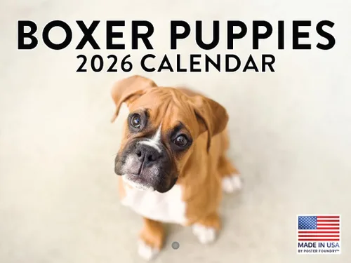 Vista 195 de Calendario de pared mensual 2025 Great Dane de 12 meses, fabricado en Estados Unidos