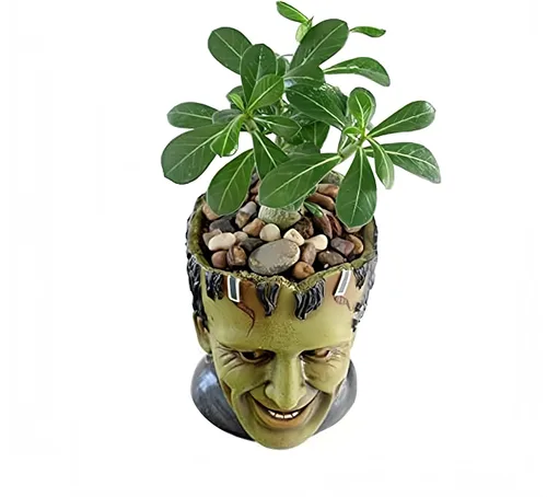 Vista 4 de Maceta Graciosa con Cabeza de Planta Divertida, Maceta para Suculentas con Orificio de Drenaje, Maceta de Resina para Jardín de Hadas, Maceta