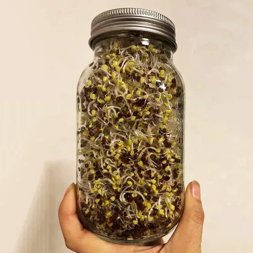 Vista 6 de Paquete de 12 tapas de germinación, tapa de filtro de pantalla de acero inoxidable 304 para tarro Mason de boca regular de 2.75 pulgadas, tapas