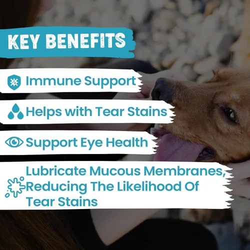 Vista 2 de Replenish Masticables para manchas de lágrimas para perros y gatos, removedor de manchas de lágrimas de Dr. Rachel para perros, removedor de manchas