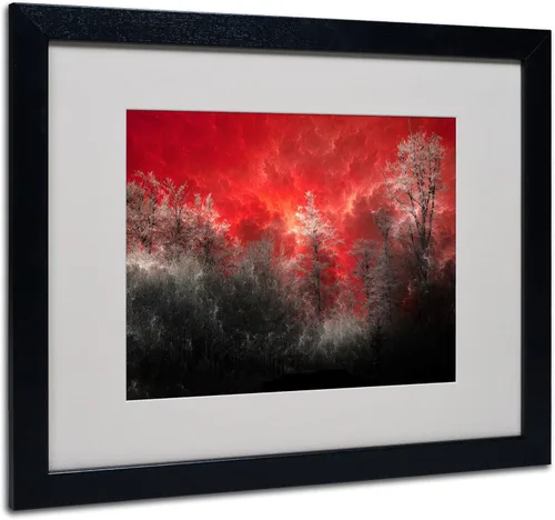 Vista 6 de Trademark Fine Art Hot and Cold by Philippe Sainte-Laudy Canvas Wall Art, Black Frame 11 by 14-Inch