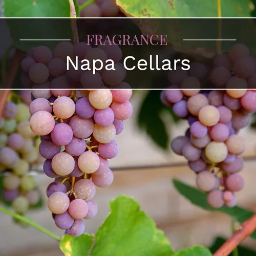 Vista 12 de CANDLE-LITE Fragancia perfumada de cerezas negras jugosas, una vela de aromaterapia de 3 mechas de 10 onzas con 20-40 horas de tiempo de combustión