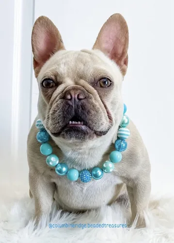 Vista 2 de Aquamarine Queen" Teal, White Decorative Beaded Collar/Necklace for Pets Size Small Medium Large - Handmade Dog Pet Collar/Necklace by Columbine