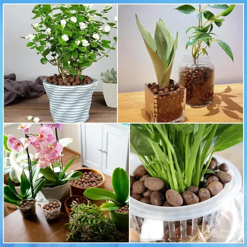 Vista 7 de ZeeDix 2LBS de guijarros de arcilla expandida para hidroponía - Bolas hidroneutrales de pH 4mm-16mm, guijarros ligeros de arcilla Leca para drenaje