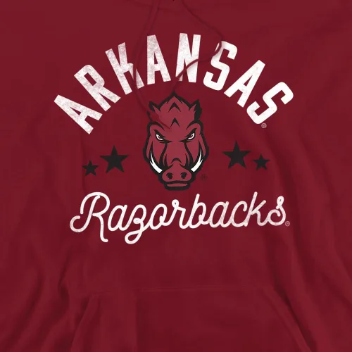 Vista 281 de LOGOVISION Colección oficial de sudaderas con capucha para adultos con capucha de la mascota desgastada