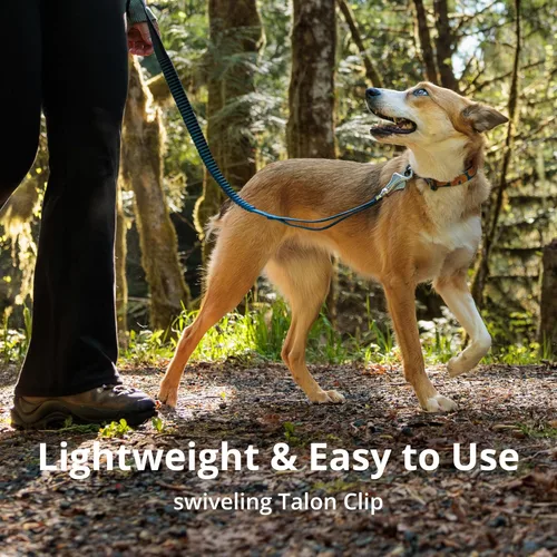Vista 5 de Ruffwear, Roamer Bungee - Correa elástica para perro para correr, andar en bicicleta o senderismo, se puede utilizar de mano o manos libres, verde