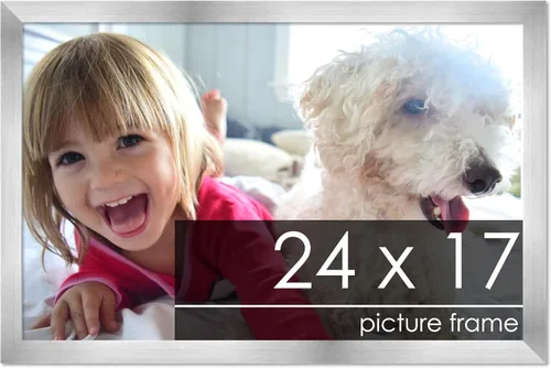 Vista 260 de Marco de madera de peltre plateado de 3 x 4 pulgadas, acrílico UV, respaldo de tablero de espuma y accesorios para colgar, marco de 3 x 4 pulgadas