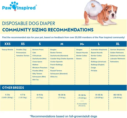 Vista 2 de Paw Inspired Pañales desechables para perras, pañales para perras de protección ultra, pañales para perros en celo, micción por emoción