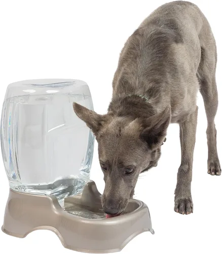 Petmate Pet Cafe Waterer Dispensador de agua para gatos y perros, 1.5 galones