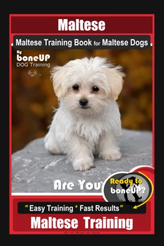 Maltese, Maltese Training Book for Maltese Dogs By BoneUP DOG Training, Are You Ready to Bone Up Easy Training * Fast Results, Maltese Training