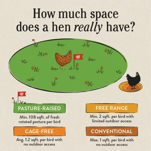 Vista 5 de Docena de huevos orgánicos Vital Farms. Huevos grandes, marrones con certificado