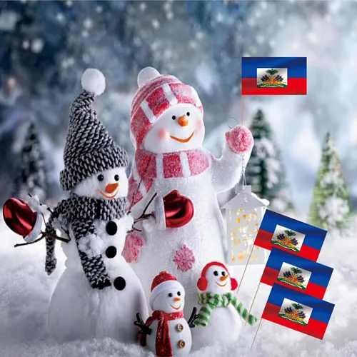 Vista 5 de Bandera de palillo de dientes de Haití, nacional haitiano, pequeño, para cupcakes de frutas, decoración de palitos de alimentos, paquete de 100