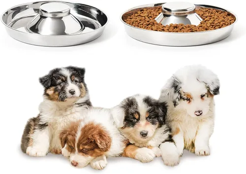 Juego de 2 cuencos de acero inoxidable para cachorros, comida para perros y agua, destete para perros pequeños, medianos y grandes, para mascotas, S