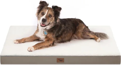 Vista 100 de Cama para perros y gatos pequeños, impermeable, para jaula de huevos, espuma ortopédica con funda Oxford lavable y extraíble, color verde Amy