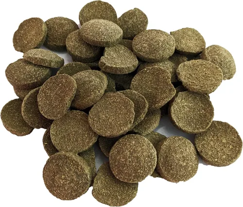 Vista 2 de Brine Shrimp Direct PhytoDisc Plus - Obleas de algas espirulina, 16 onzas