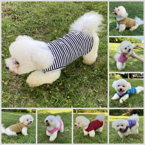 Vista 5 de Camisas para perros Camisetas de algodón a rayas, chaleco básico transpirable