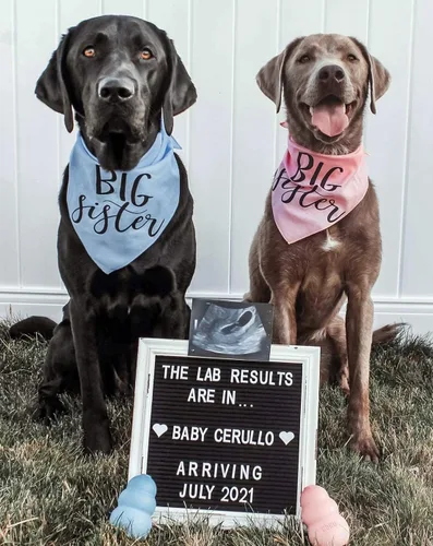 Vista 4 de Tablero de letras de fieltro negro para anuncio de bebé con marco de madera rústico en blanco - Letrero de tablero de letras de granja rústica