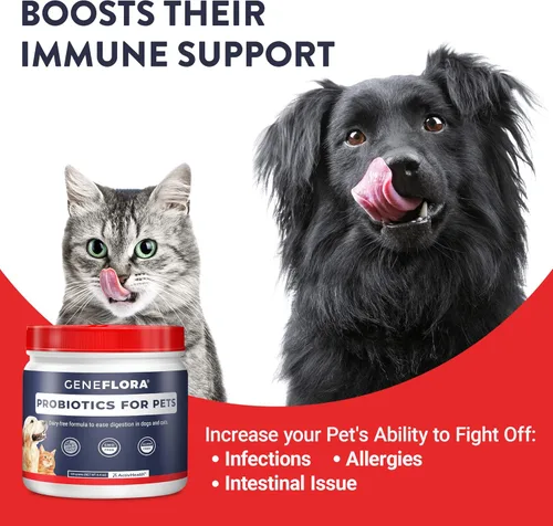 Vista 6 de Geneflora - Enzimas digestivas prebióticos y probióticos para mascotas para perros en polvo, gatos, conejos y perros para apoyo digestivo, 4.41 oz