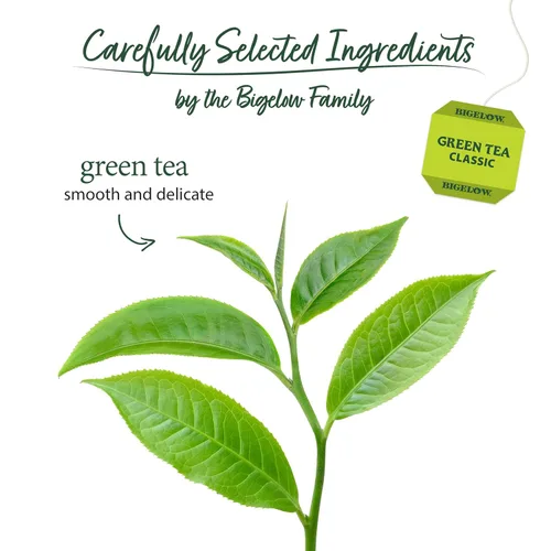 Vista 3 de Bigelow Tea Té verde clásico, té con cafeína con té verde, caja de 40 unidades (paquete de 6), 240 bolsas de té en total