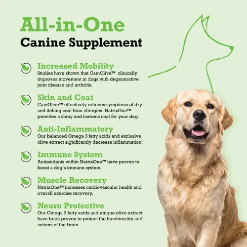 Vista 2 de Aceite de camelina 100% puro para perros, 8 onzas – Suplemento para piel y pelaje de perro, suplementos totalmente naturales, apoyo a corazones
