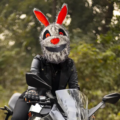 Vista 3 de Motorcycle Helmet Cover, Funny Helmet Decoration, Fun Rides and Gifts(Plush Animal)