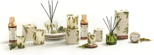 Vista 6 de Set de difusor de varillas de abeto Frasier de Thymes – Incluye varillas, aceite de fragancia y botella de vidrio esmerilado – Difusor de aceite