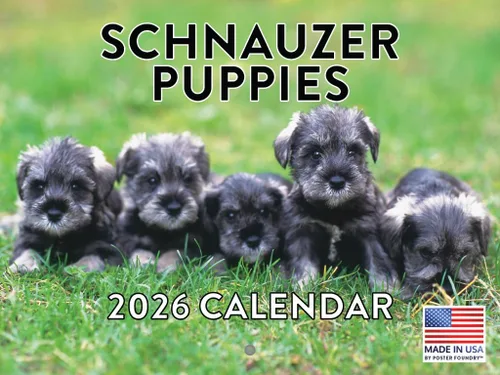 Vista 145 de Calendario de pared mensual 2025 Great Dane de 12 meses, fabricado en Estados Unidos