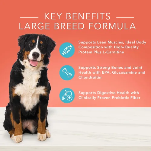 Vista 3 de Blue Buffalo True Solutions Livin' - Alimento seco natural grande para perros adultos de raza grande, pollo, 24 libras