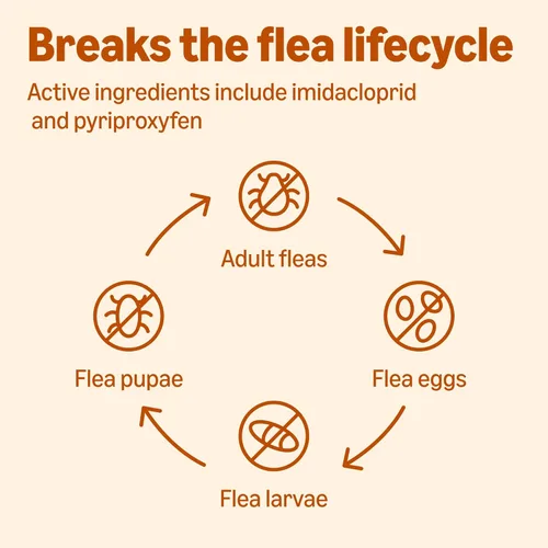 Vista 5 de Amazon Basics Tratamiento tópico preventivo contra pulgas para gatos medianos (5-9 libras), 6