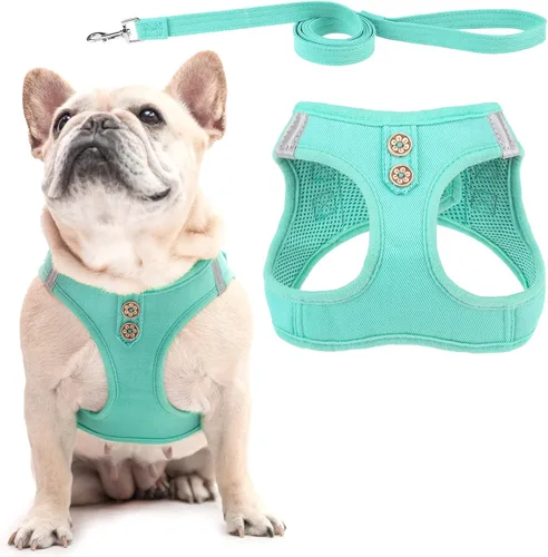 Vista 9 de Pupteck Juego de arnés y correa para perros pequeños y medianos, cachorros, gatos, sin tirones, de malla suave, chaleco reflectante por la noche