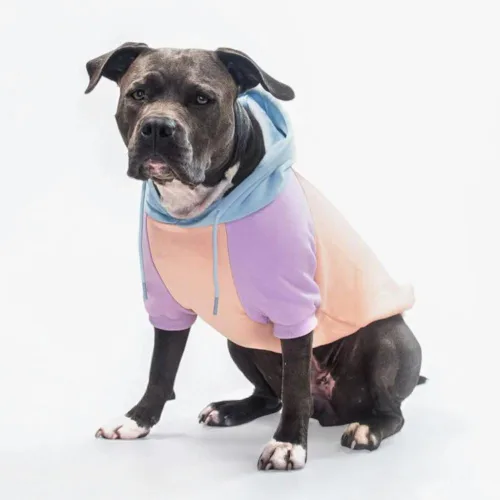 Vista 79 de Spark Paws Sudadera con capucha para perro, suéter de primera calidad para perros pequeños, medianos y grandes Trajes cálidos para bulldogs