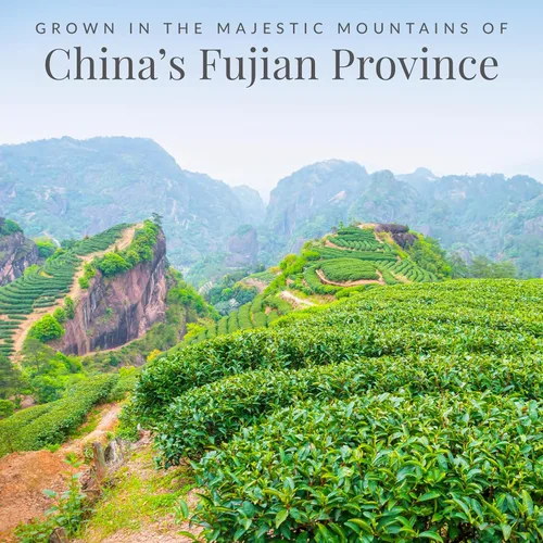 Vista 3 de Té 100 % blanco The Republic Of Tea, 1, 1