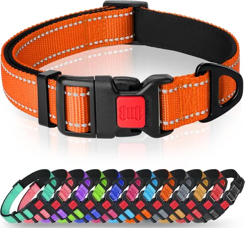 Vista 13 de Taglory Collar reflectante para perro con hebilla de bloqueo de seguridad, collares ajustables de nailon para mascotas para cachorros, hembras