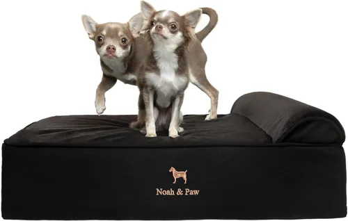 Vista 12 de NOAH & PAW Cama pequeña para perros, 20 x 15 x 6.5 pulgadas, cama para gatos de interior, espuma viscoelástica ortopédica de cáscara de huevo