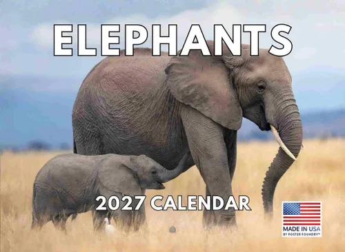 Vista 41 de Calendario de Cocodrilo 2026 Calendario de Pared Mensual 12 Meses Fabricado en Estados Unidos