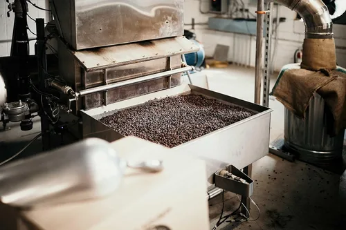 Vista 4 de Granos de café de Chiapas mexicano (5 libras), comercio justo, tostado medio, tostadores de café Good As Gold