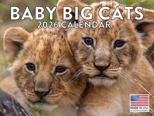 Vista 43 de Calendario de Cocodrilo 2026 Calendario de Pared Mensual 12 Meses Fabricado en Estados Unidos