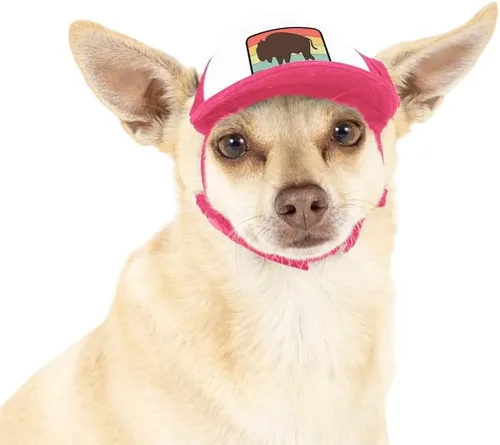 Vista 23 de Nature Collection, sombreros de camionero PupLid para perros (XXS) Protección solar elegante de alta calidad para el perro moderno, ajustable