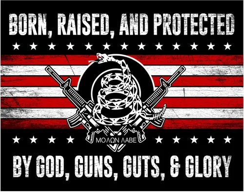 Born, Raised & Protected By God 2nd Amendment American Flag Patriotic Military Wall Art Print Man Cave Office Garage Home Decor 14x11 Impresión sin