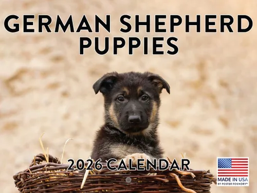 Vista 24 de Calendario de pared mensual 2025 Great Dane de 12 meses, fabricado en Estados Unidos