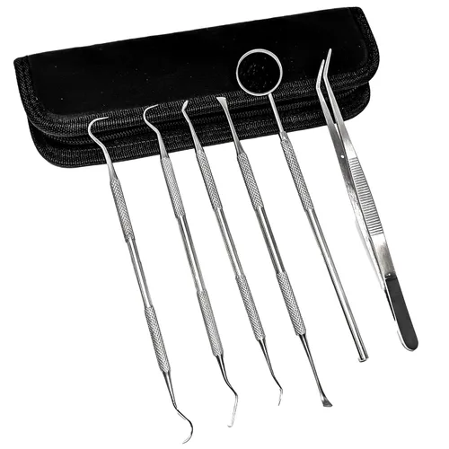 SURGICAL ONLINE Kit de herramientas dentales profesionales, kit de limpieza de dientes, kit de cuidado bucal para púas de dientes, espejo dental,
