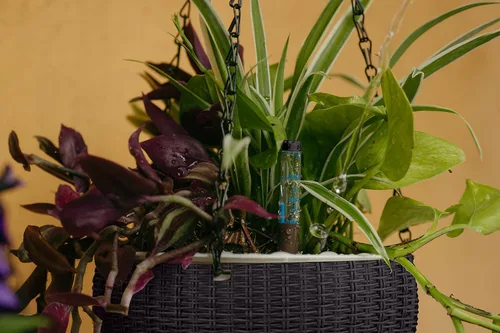 Vista 7 de Macetas colgantes de riego automático de 7.5 pulgadas para plantas de interior, maceta con indicador de nivel de agua para plantas, macetas