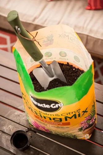 Vista 12 de Miracle-Gro Mezcla para macetas de cactus, palmeras y cítricos, para plantas en macetas de interior o exterior, ideal para suculentas, 8 cuartos