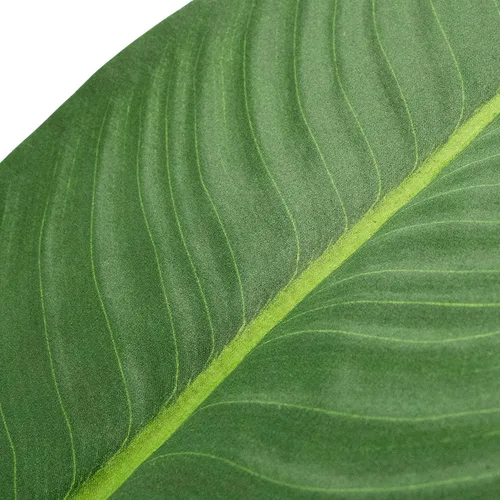 Vista 4 de Árbol artificial en macetero con textura blanquecina, ave del paraíso artificial de seda para decoración del hogar en interiores y exteriores