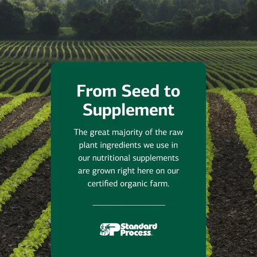 Vista 7 de Standard Process Catalyn - Tableta de bienestar general para ayudar a la actividad antioxidante, contiene vitaminas A, B6 y D, diseñada para cerrar