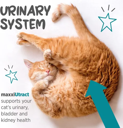 Vista 4 de maxxipaws MaxxiUtract Polvo urinario y de vejiga para gatos, D-Manosa, 3.2