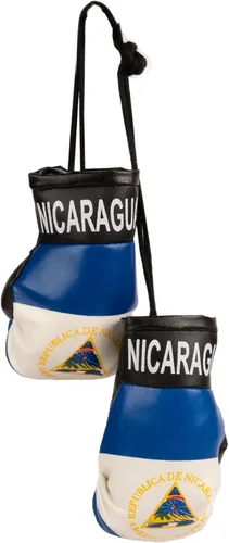 Vista 7 de SandT Collection Guantes de boxeo pequeños con bandera del país - Guantes de boxeo para colgar