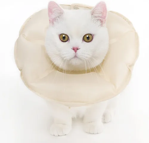 MayMaw Collar inflable para gatos con cono E para gatitos y perros pequeños, suave y plegable, collar de recuperación para gatos para que dejen de