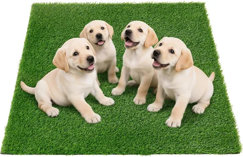 Vista 16 de Almohadilla de Hierba Artificial para Orinar para Perros, Almohadillas de Reemplazo de Hierba Falsa para Entrenamiento de Orinal para Mascotas