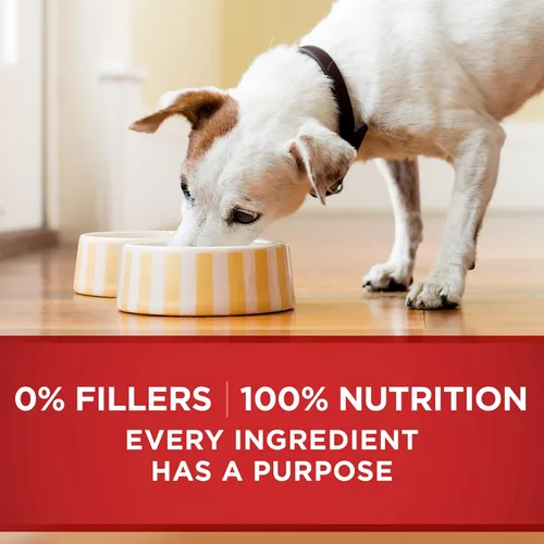 Vista 7 de Purina ONE Tender Cuts in Salsa de carne de res y cebada en salsa húmeda para perros (paquete de 12) latas de 13 onzas